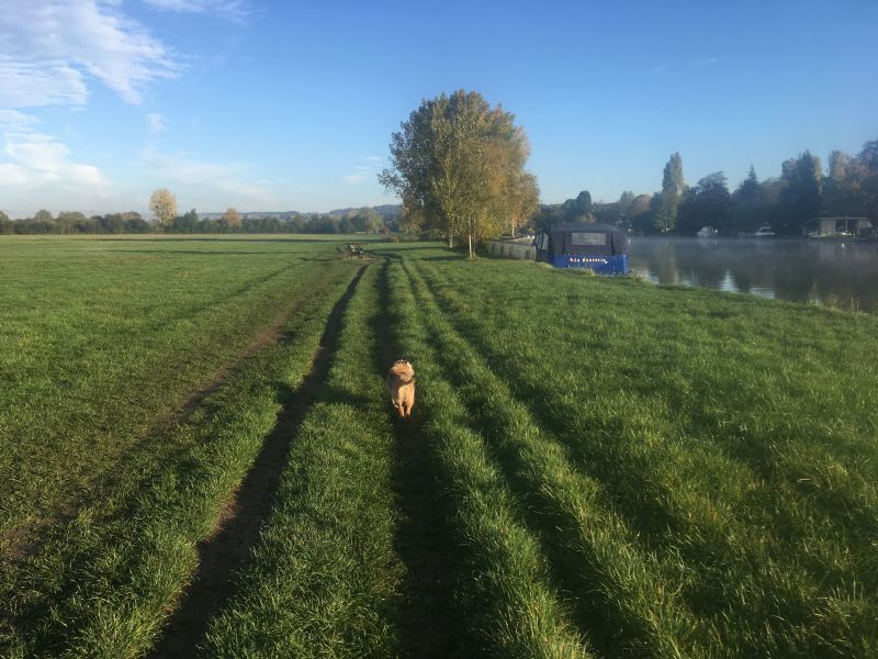 walking at Cookham